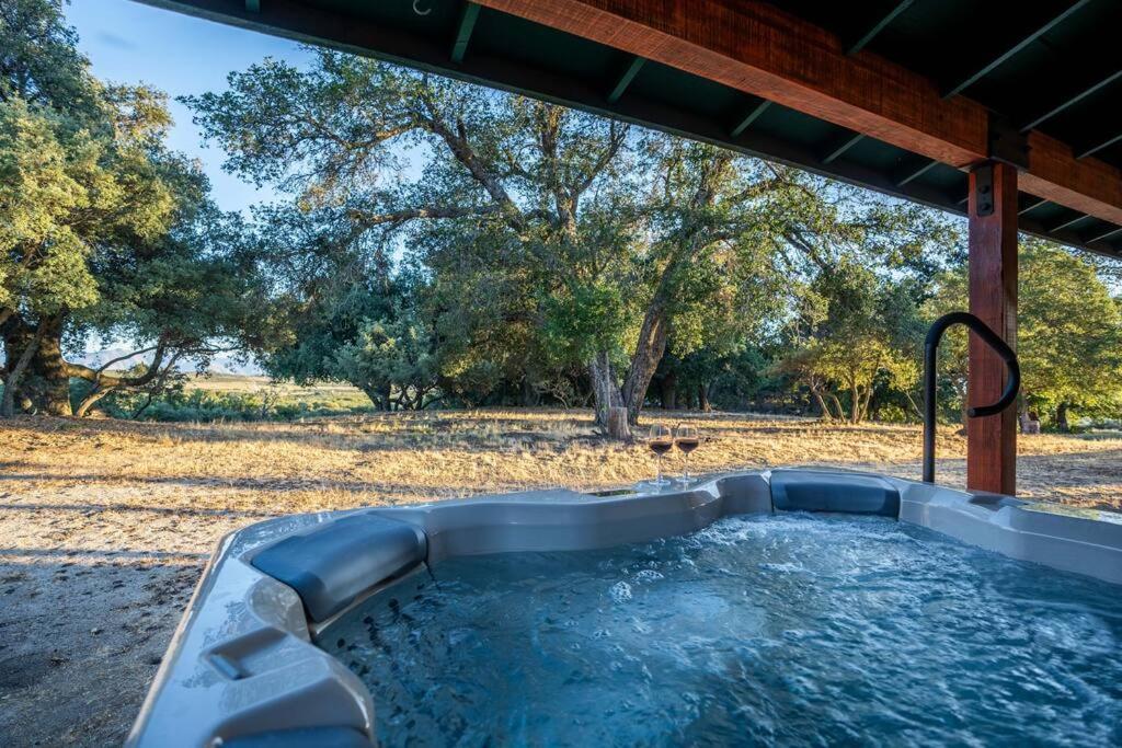 Country Cowboy Hot Tub Hideaway On 20 Acres Villa Борего Спрингс Екстериор снимка